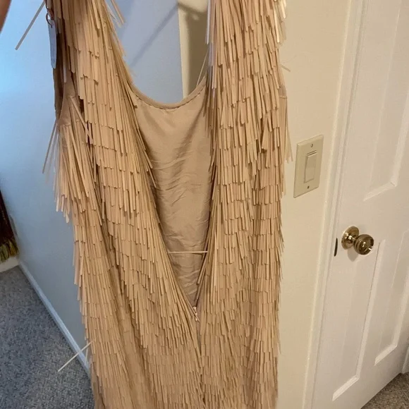 ASOS Elegant Beige Fringe Dress - Picture 5 of 5